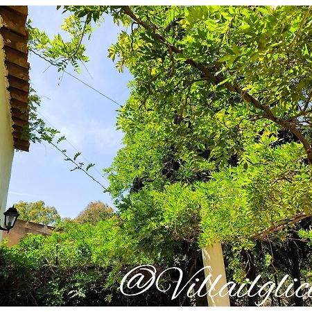 Villa Il Glicine Vulcano  Exteriér fotografie